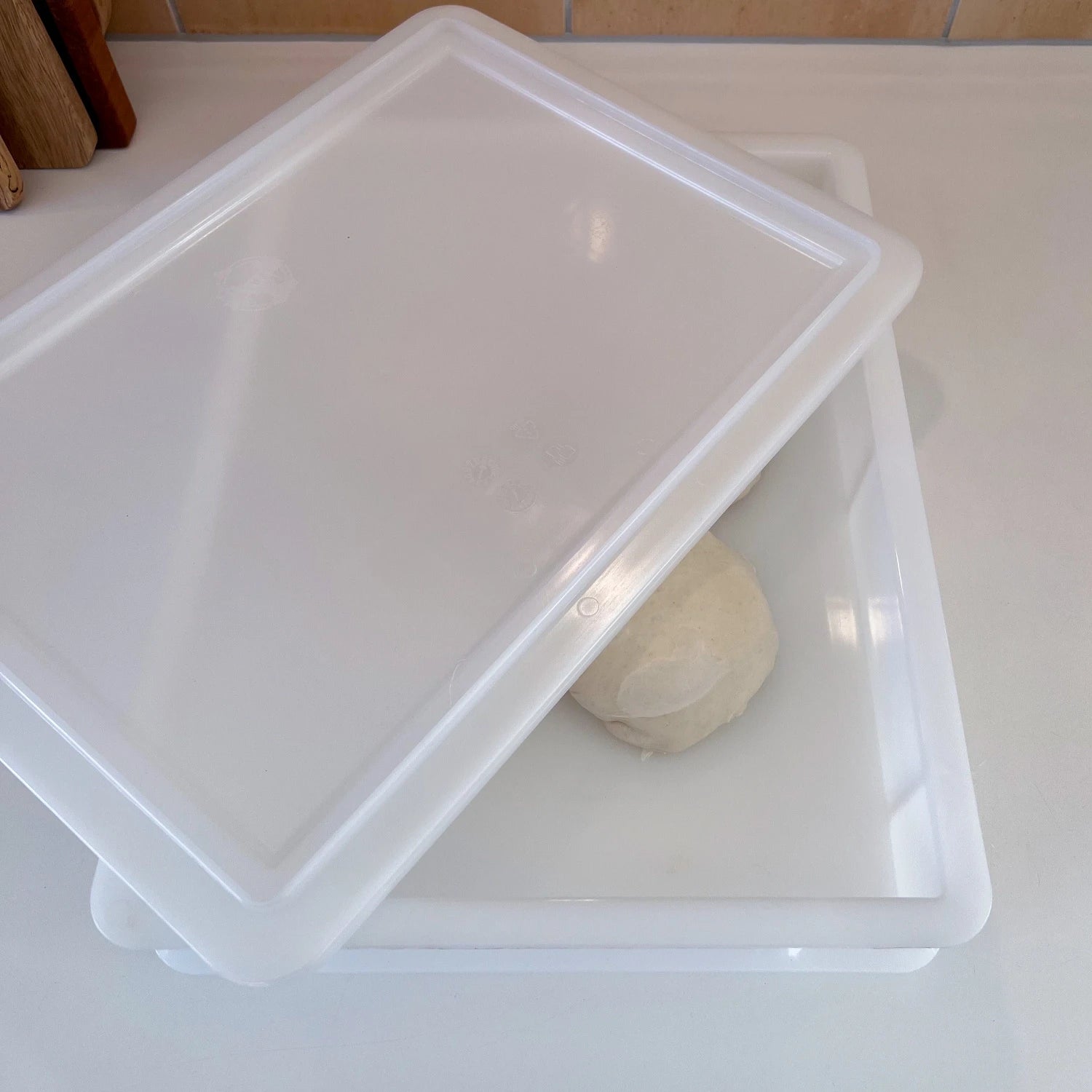 Coperchio per cassetta di lievitazione per pizza