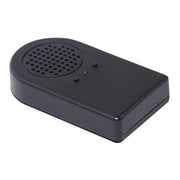 Speaker sonoro per camini elettrici